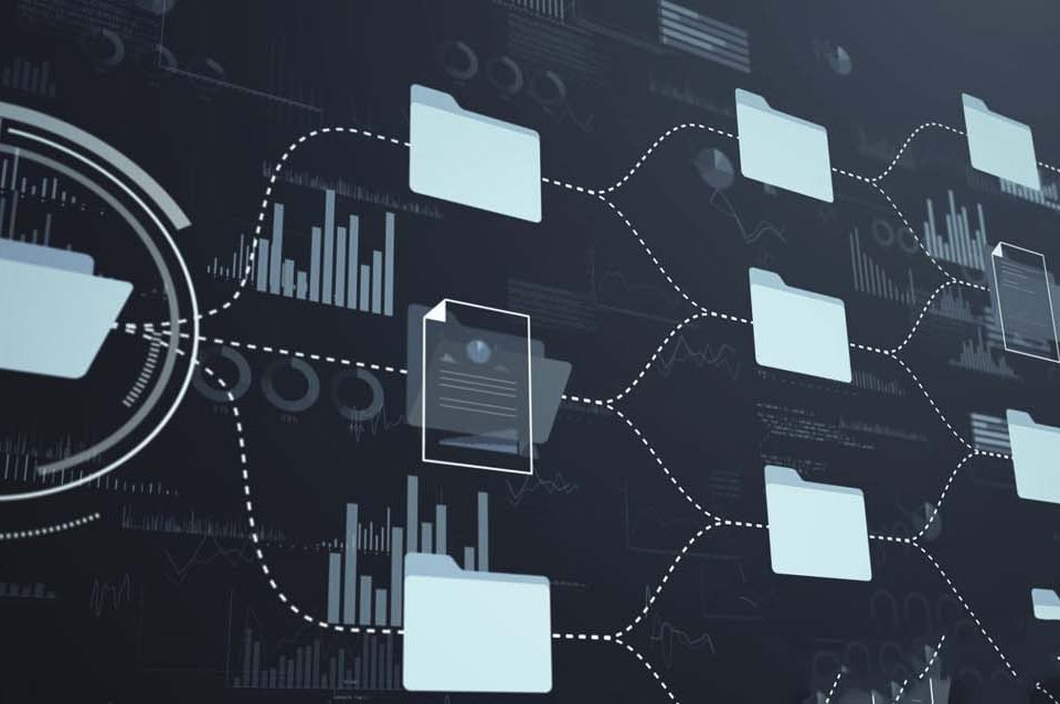 maayan-tech-case-studies-document