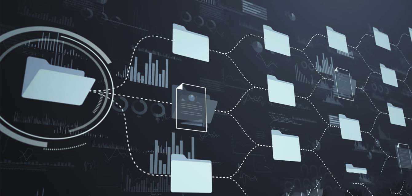 maayan-tech-case-studies-document