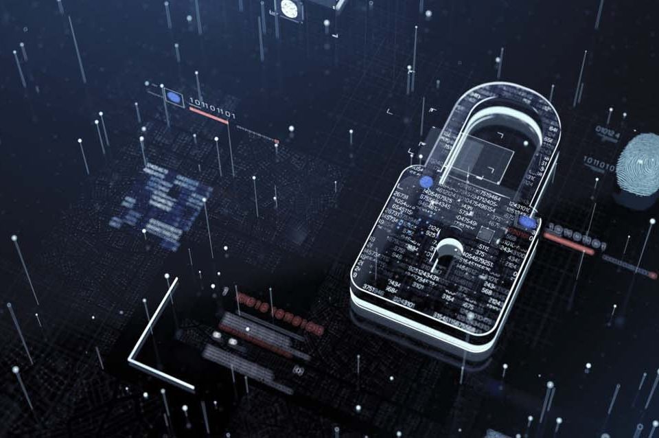 maayan-tech-case-studies-trust